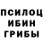 Галлюциногенные грибы Psilocybe Ada Kleczkowska