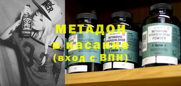 прущие грибы Алексеевка