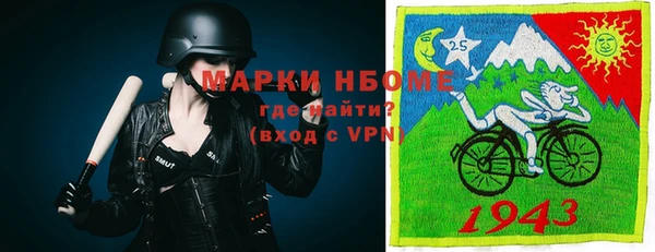 прущие грибы Алексеевка