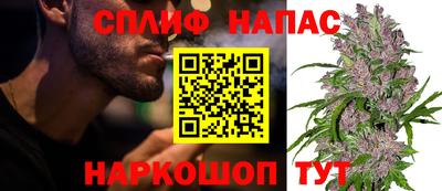 мет Бийск