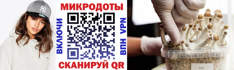 Галлюциногенные грибы GOLDEN TEACHER  наркошоп  Большой Камень 