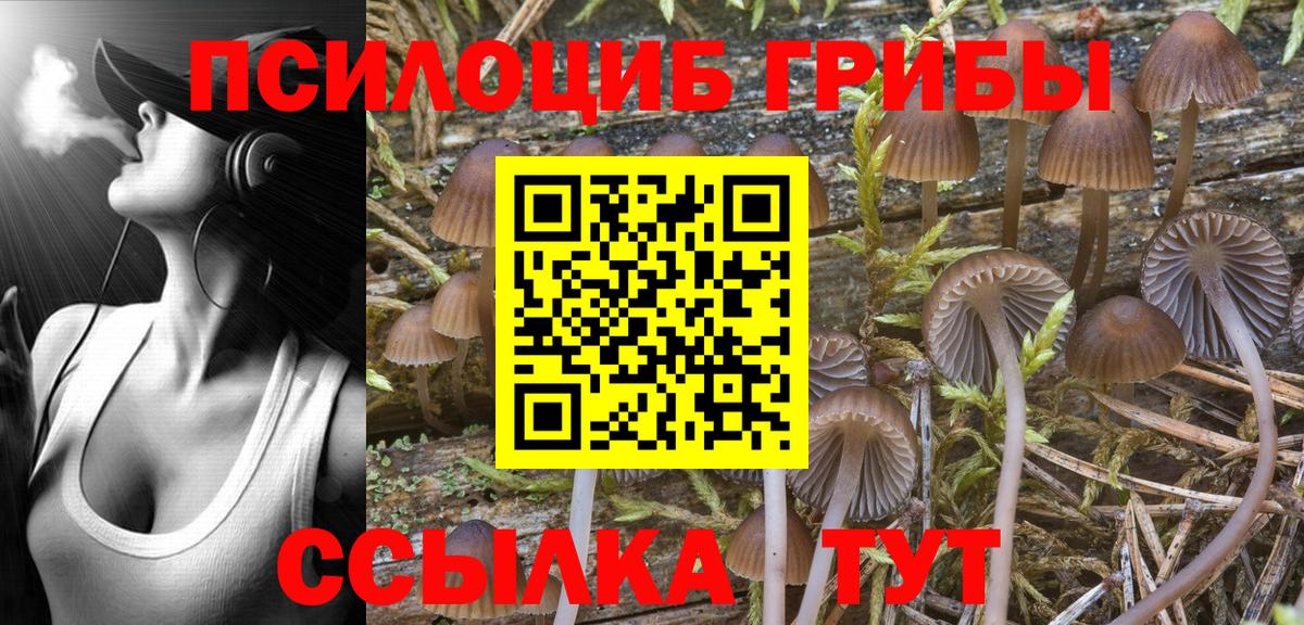 Галлюциногенные грибы прущие грибы  Вход с VPN  Большой Камень 