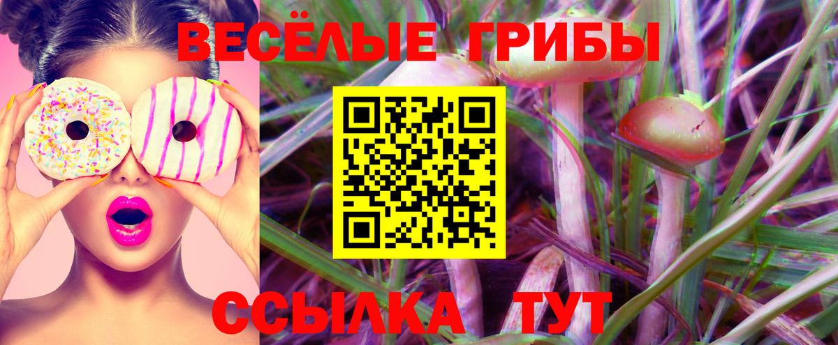Галлюциногенные грибы Psilocybine cubensis Большой Камень