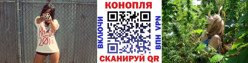 Шишки марихуана OG Kush  Большой Камень 